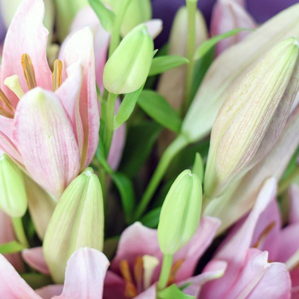 Berry Crush Lily Bouquet