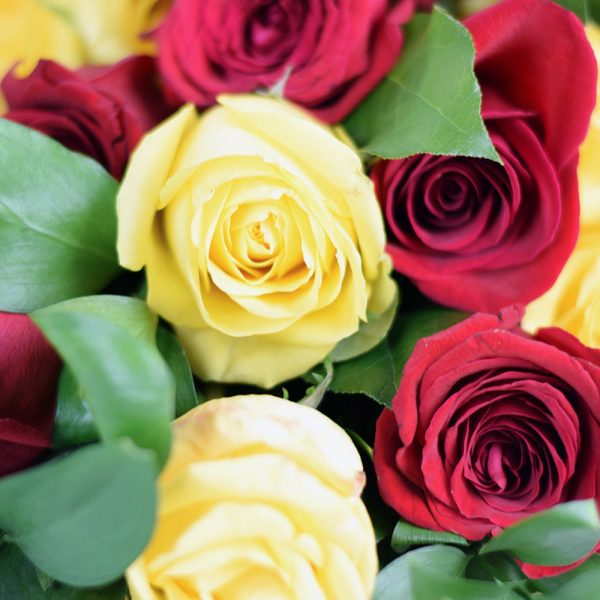 Raspberry Ripple Mixed Rose Bouquet