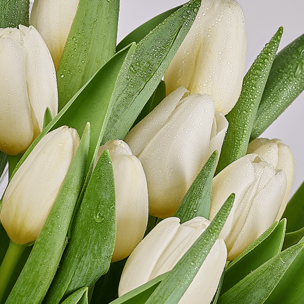 Spring Scents Tulip Bouquet