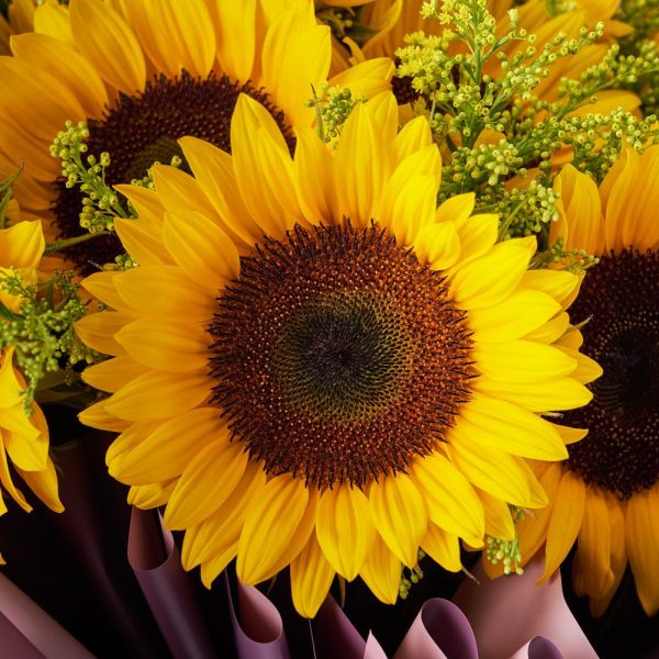Summer Glory Sunflower Bouquet